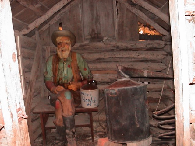 photo51.jpg